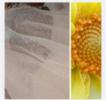 Thermocollant pour couture tissé 5m