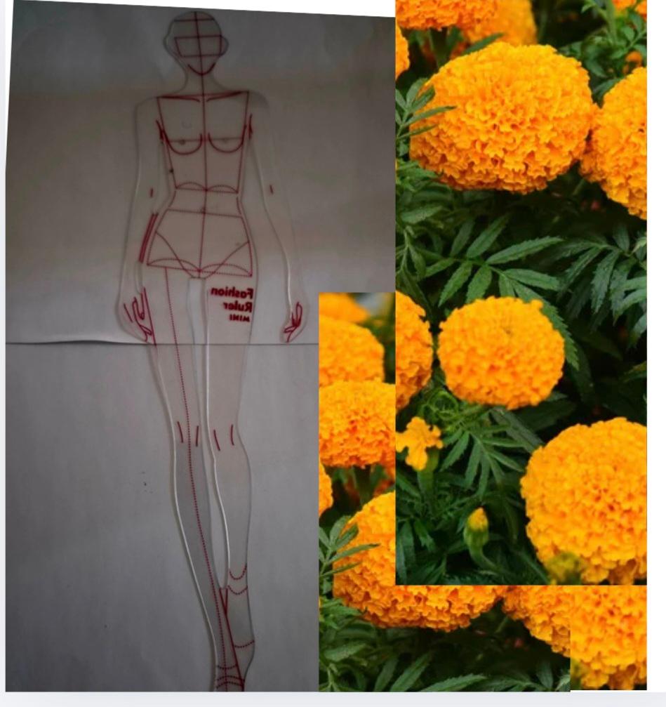 modèles de conception de mode pour les créateurs